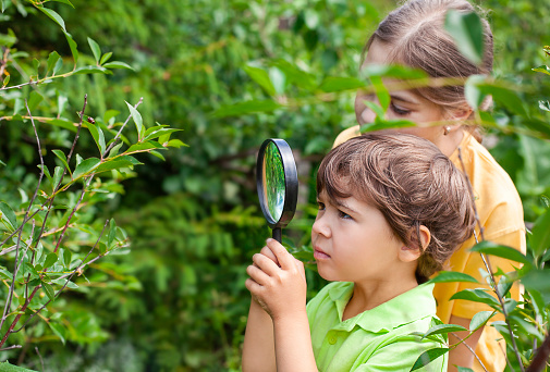 children look at plants through a magnifying glass outdoors