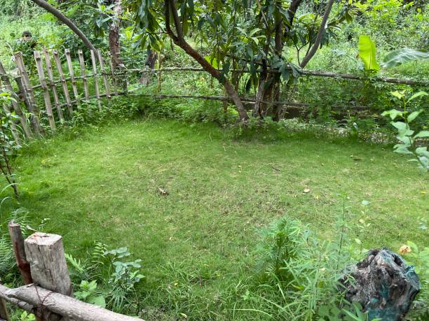 istock Farmhouse Garden 1411367256