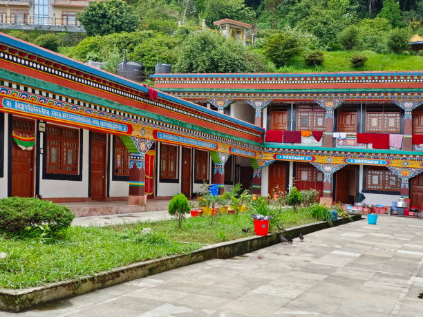 17 de junho de 2022, gangtok, sikkim, ranka (lingdum ou pal zurmang kagyud), templo dourado, mosteiro em gangtok. - golden temple - fotografias e filmes do acervo