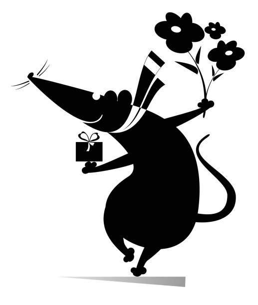 Cartoon rat or mouse holds a present box and flowers Funny rat or mouse with a gift and flowers celebrating birthday or important event. Black on white opossum silhouette stock illustrations