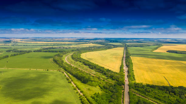 istock beautiful summer landscape 1411371759