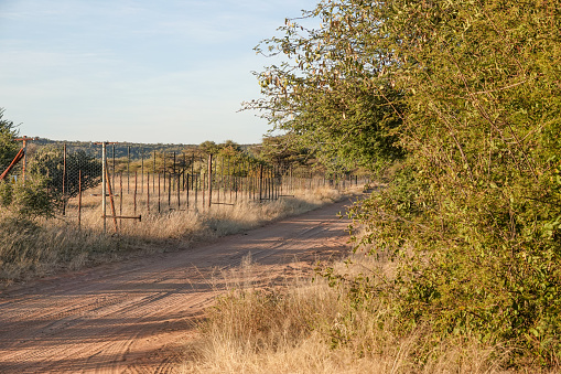 Dirt Road at Otjiwarongo at Otjozondjupa Region, Namibia