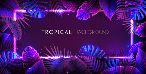 illustrazioni stock, clip art, cartoni animati e icone di tendenza di sfondo estivo con cornice al neon e foglie tropicali fluorescenti. concetto di natura. illustrazione vettoriale - tropical rainforest tropical climate flower frame