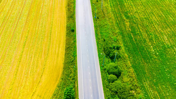 istock High Angle View Of field 1411377178