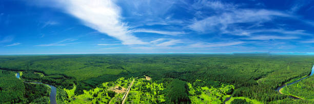 istock Panorama from height to summer forest, trees and river. Flying over the forest an river on bright sunny day 1411377839