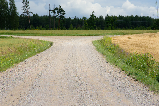 a beautiful dirt road intersection with an electric line in the distance where green grass is on one side and crops on the other