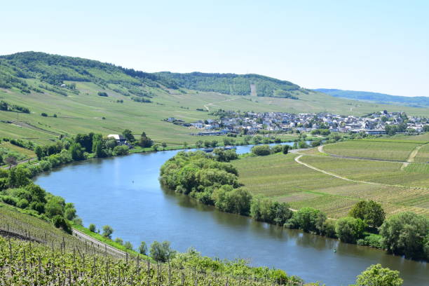 istock Mosel curve near Leiwen 1411379376