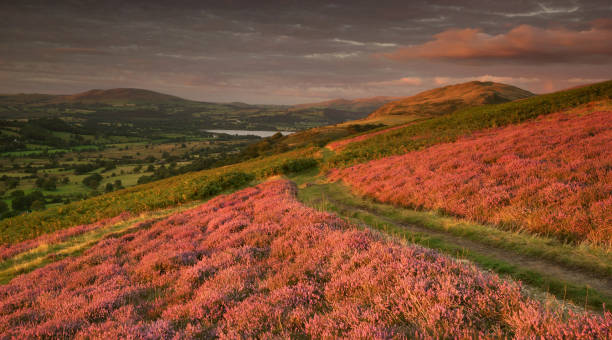 istock Bassenthwaite Lake from Ling Fell 1411379547