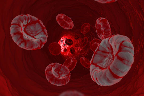 leucémie cancer et virus hémoglobine blanche maladie grave globules rouges microscope à l’intérieur du corps humain. la propagation de la maladie génétique causant une défaillance de l’organe infectieux. - red blood cell photos et images de collection