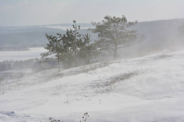 istock Winter blizzard with wind and snow 1411381052