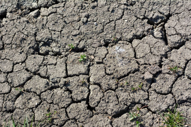 istock Cracked ground due to heat 1411381236