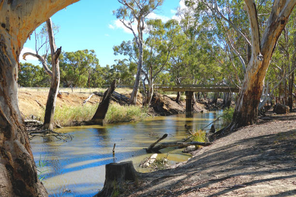 istock Barham,  New South Wales, Australia 1411382500