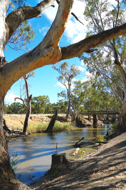 istock Barham,  New South Wales, Australia 1411382628