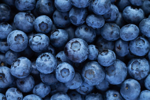 Blueberry or huckleberry pattern and background top viewFresh juicy ripe blueberries background