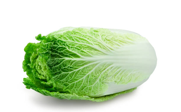istock Fresh organic Chinese cabbage on a white background 1411385123