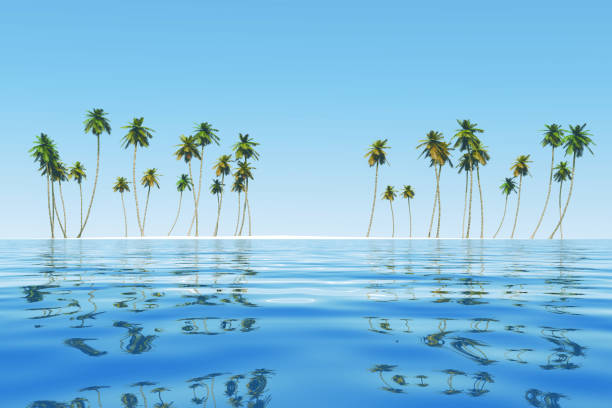 istock coconut island at tropic sea 1411386587
