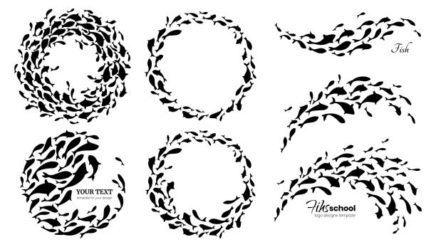 satz von fischschwärmen. vektor-illustration - fischschwarm stock-grafiken, -clipart, -cartoons und -symbole