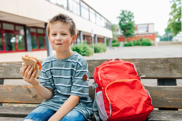 um estudante senta em um banco no recreio e come um sanduíche saudável e uma maçã. lanche enquanto estuda. nutrição adequada para escolares - lunch box child school lunch - fotografias e filmes do acervo