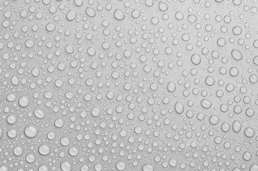 Macro image of water drops on back surface