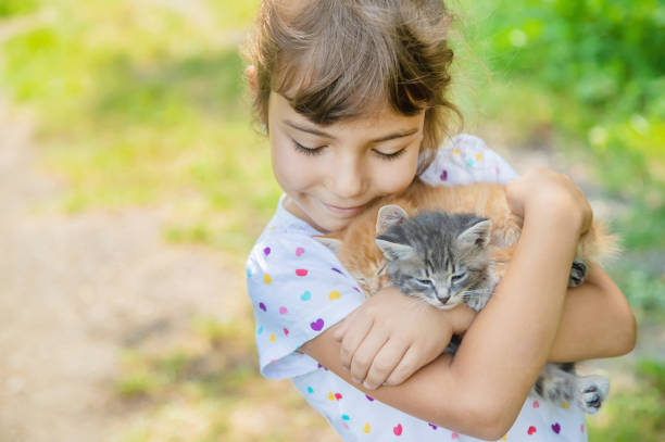 istock Cute Girl Embracing Kittens In Forest 1411402497