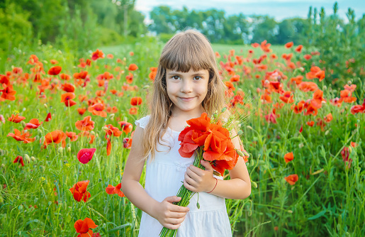 Photo of 5 years old girl picking up ranunculus flowers in floriculture greenhouse. Shot under daylight with a full frame mirrorless camera.