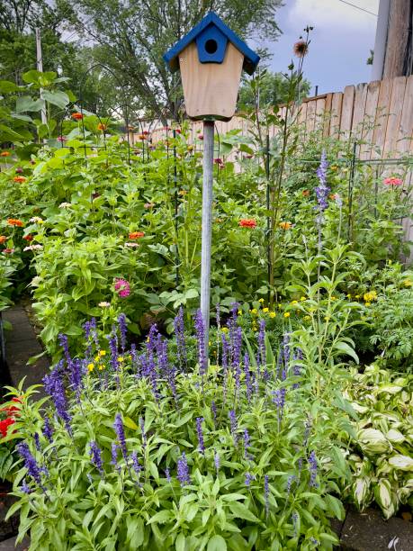 istock Birdhouse in garden 1411405333