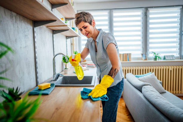 istock Woman spraying kitchen counter and cleaning it 1411406038