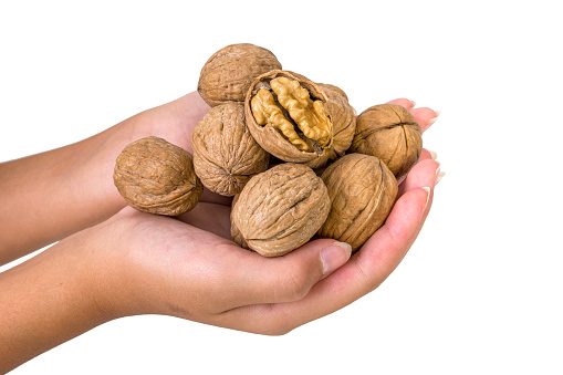Walnuts on human hand isolated on a white background