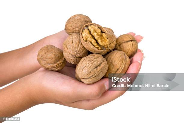 Walnuts On Human Hand Isolated On White Background Stock Photo - Download Image Now - Walnut, Acid, Appetizer