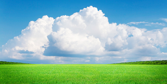 Green grass field and blue sky with cumulus clouds. Summer landscape background