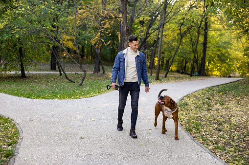 Young man with his pet boxer dog in a park. About 25 years old, Caucasian male.