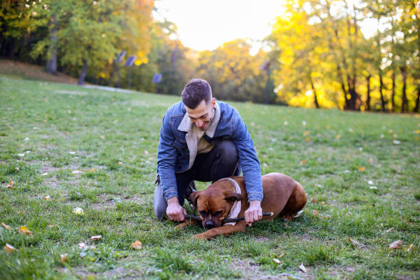 istock Man and dog in nature 1411410858