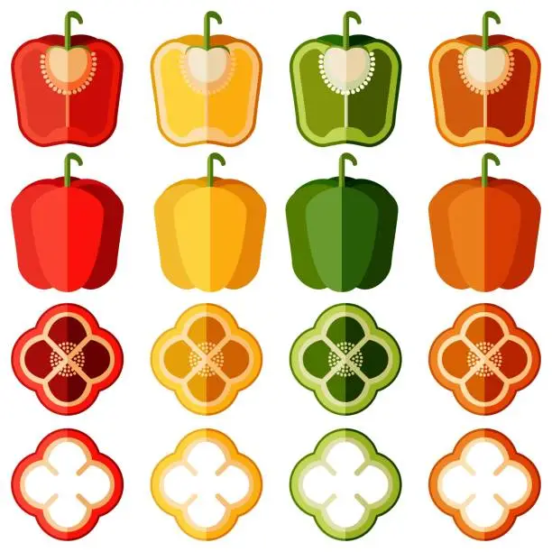 Vector illustration of Set of red, green, yellow, and orange bell peppers. Whole, half, sliced and wedges capsicum. Sweet bell peppers, capsicum. Vegetables. Flat style. Vector illustration isolated on white background.