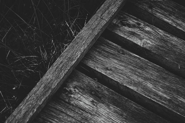 Black and white wood texture. Detail on the board. Macro close-up of plank and footbridge. Detail of wood. \nOld weathered wood texture with cross section of cut wood.\nThe pedestrian wooden footbridge with the dry reeds in the lake, with shallow water all around. \nBrown vertical wooden planks - wood texture for rustic background - top view