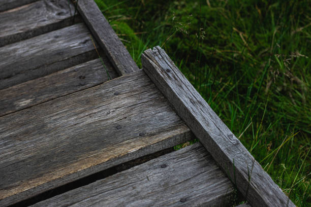 Wood texture. Detail on the board. Macro close-up of plank and footbridge. Detail of wood. \nOld weathered wood texture with cross section of cut wood.\nThe pedestrian wooden footbridge with the dry reeds in the lake, with shallow water all around. \nBrown vertical wooden planks - wood texture for rustic background - top view