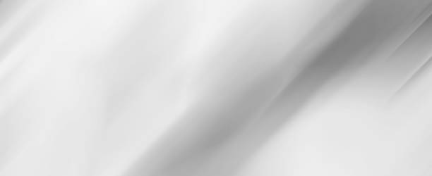 istock Abstract Blurred Gray White Background,Space for text or book design and web text 1411414679