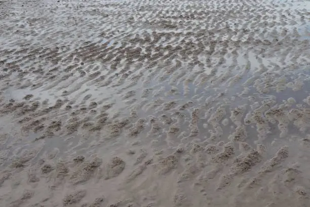 Photo of sandy beach with ripple marks at low tide