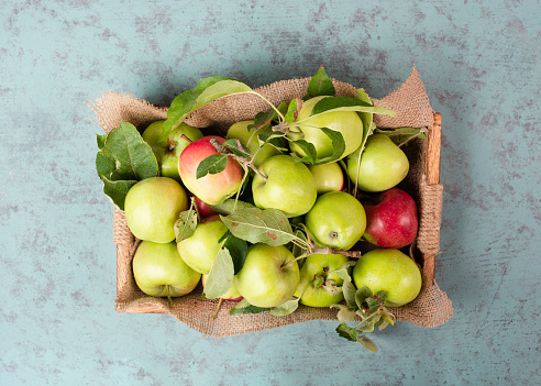 Top view of variety of fruits flay lay on wooden background. Directly above shot of a black grapes, white grapes, pears and apples with copy space.