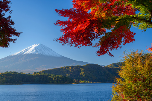 Mt. Fuji, Japan from Kawaguchi Lake in the autumn season.