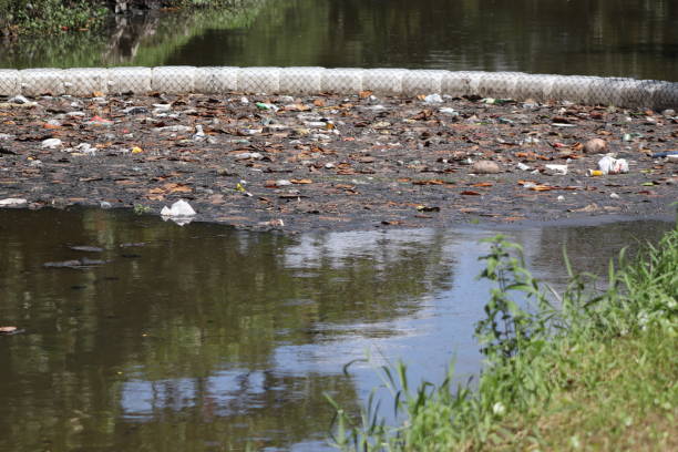 istock River contaminated with sewage and garbage with containment barrier. 1411421967