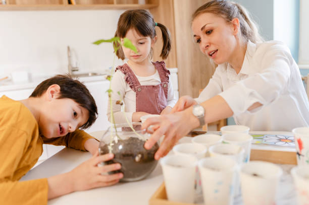istock Children with their teacher doing science project with plants. STEM in education concept. 1411421980