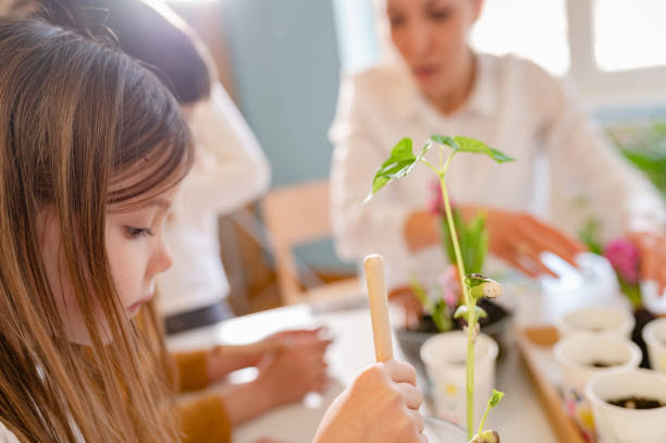 istock Children with their teacher doing science project with plants. STEM in education concept. 1411421995