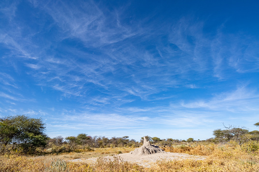Straight gravel road running through drought-stricken Karoo region of Northern Cape, South Africa