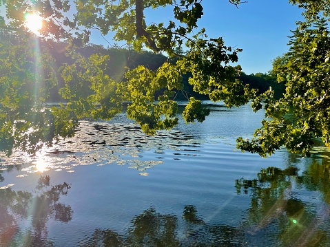 View of the Chartreuse mountain reflected in one lake ot the Parc de Fiancey, in Grenoble, France