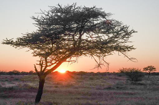 beautiful orange colored sky at sunset over desert wasteland near Galup, Namibia