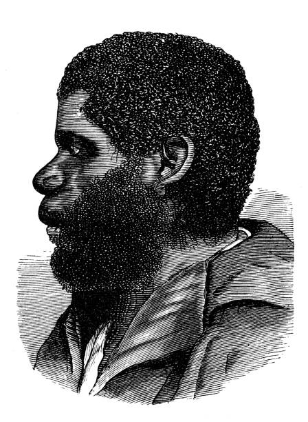 antyczna ilustracja, etnografia i rdzenne kultury: człowiek tasmański - aboriginal stock illustrations