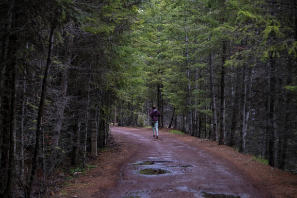 istock Woman running through a lush forest 1411433227