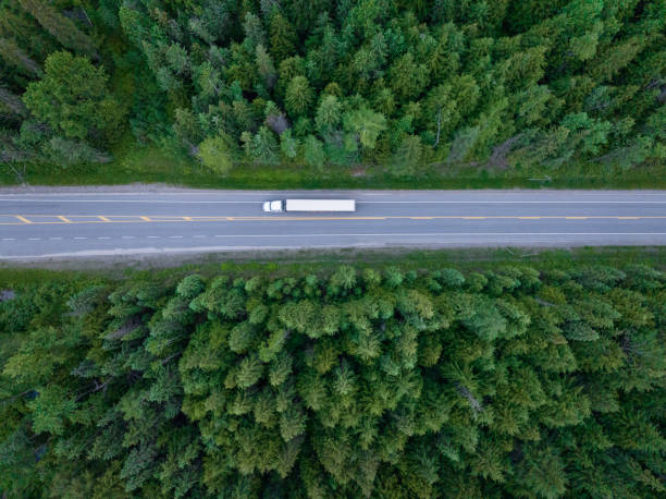 istock Container truck along a scenic road 1411434376