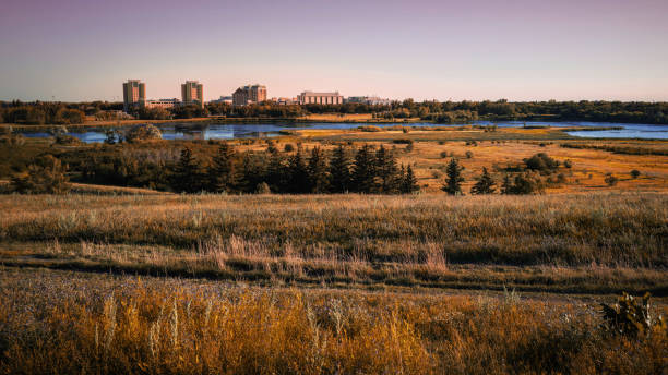 habitat conservation prairie area and cityscape o zachodzie słońca nad jeziorem wascana w regina, saskatchewan, kanada - wascana lake zdjęcia i obrazy z banku zdjęć