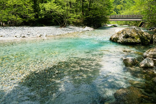 Transparent flow of Azusa River, Kamikochi June